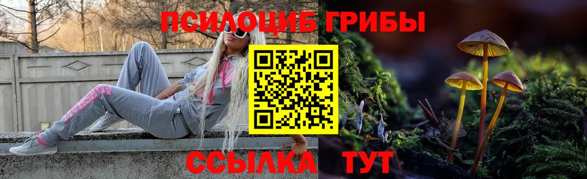 Псилоцибиновые грибы прущие грибы Барабинск