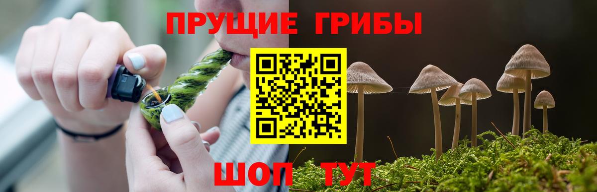 Галлюциногенные грибы GOLDEN TEACHER  Вход с VPN  Барабинск 